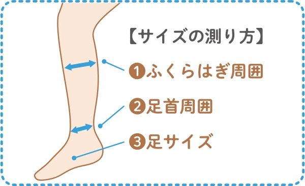 Lサイズの測り方