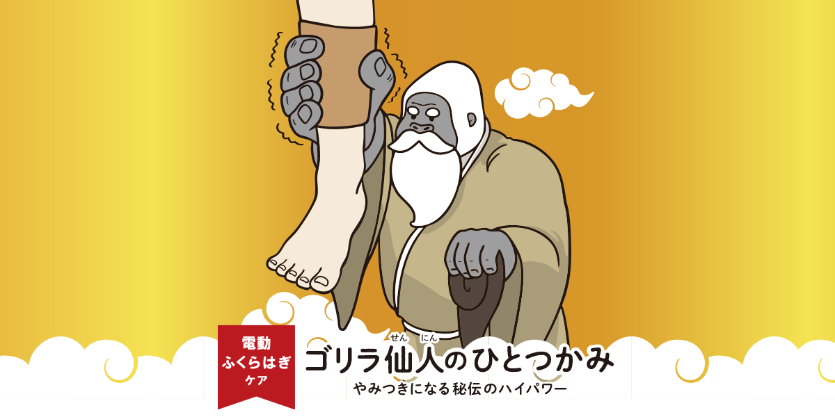 ゴリラ仙人のひとつかみ | e-doshisha.com｜株式会社ドウシシャ
