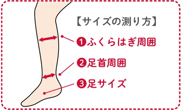 Lサイズの測り方